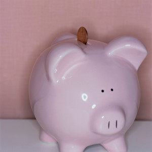 Save Money - Piggy Bank